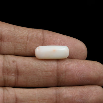 Japani White Coral 8.54 Carat