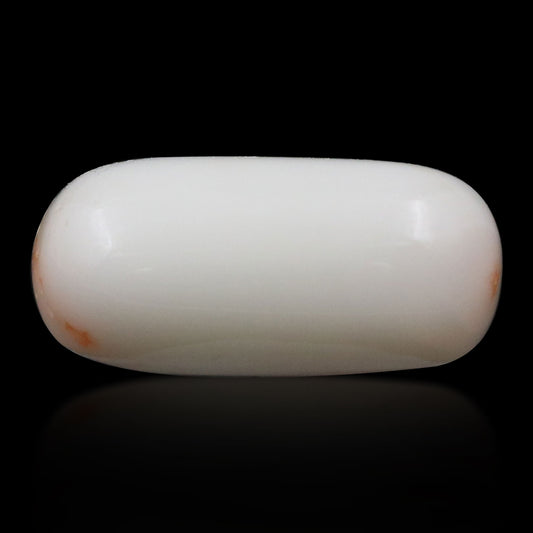 Japani White Coral 7.8 Carat