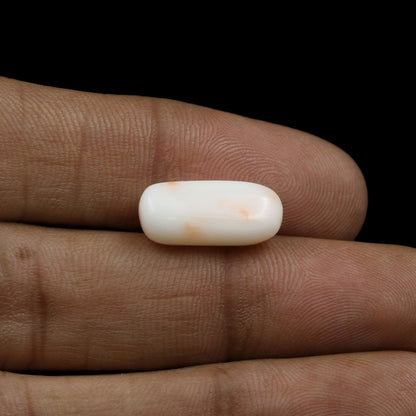 Japani White Coral 7.8 Carat