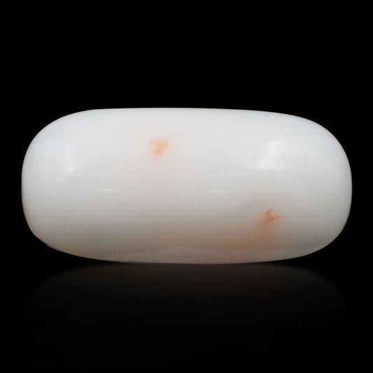 Japani White Coral 7.34 Carat