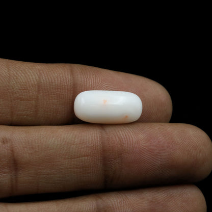Japani White Coral 7.34 Carat