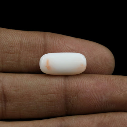 Japani White Coral 7.34 Carat