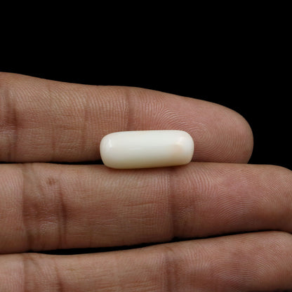 Japani White Coral 9.15 Carat
