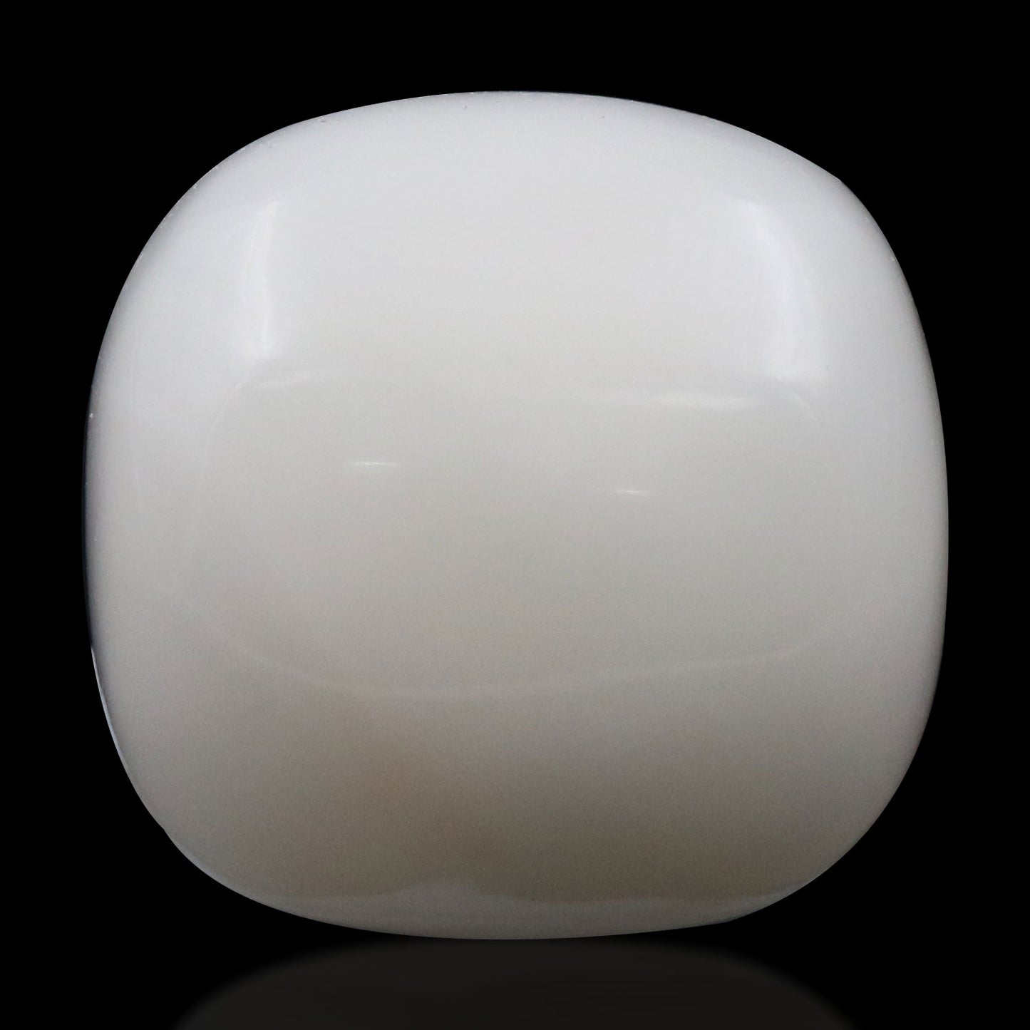 Japani White Coral 15.42 Carat