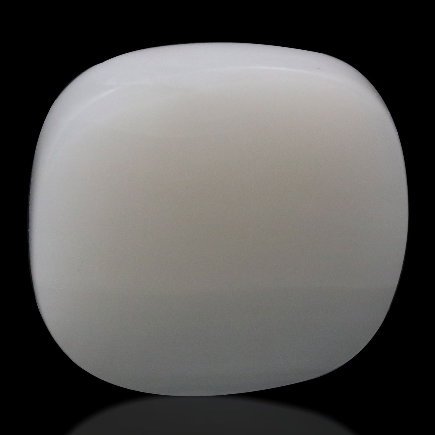 Japani White Coral 15.42 Carat