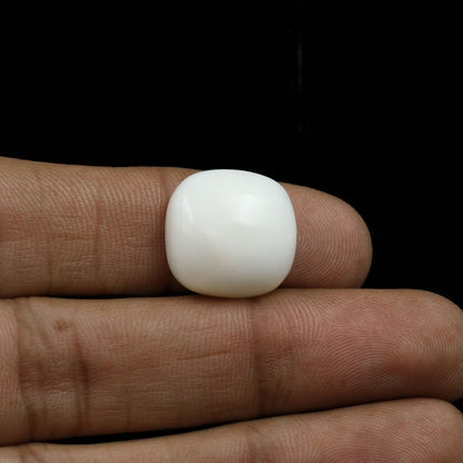 Japani White Coral 15.42 Carat