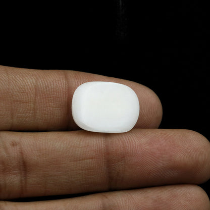Japani White Coral 11.96 Carat