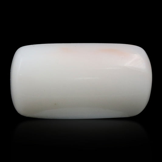 Japani White Coral 10.28 Carat