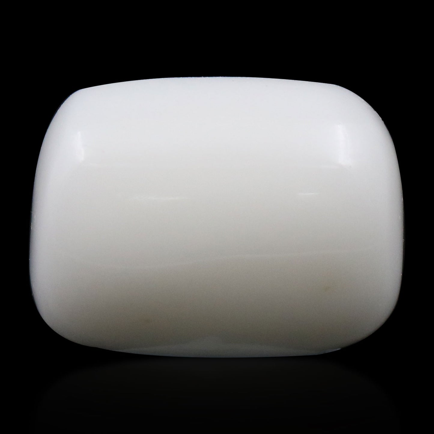 Japani White Coral 16.82 Carat