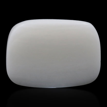 Japani White Coral 16.82 Carat