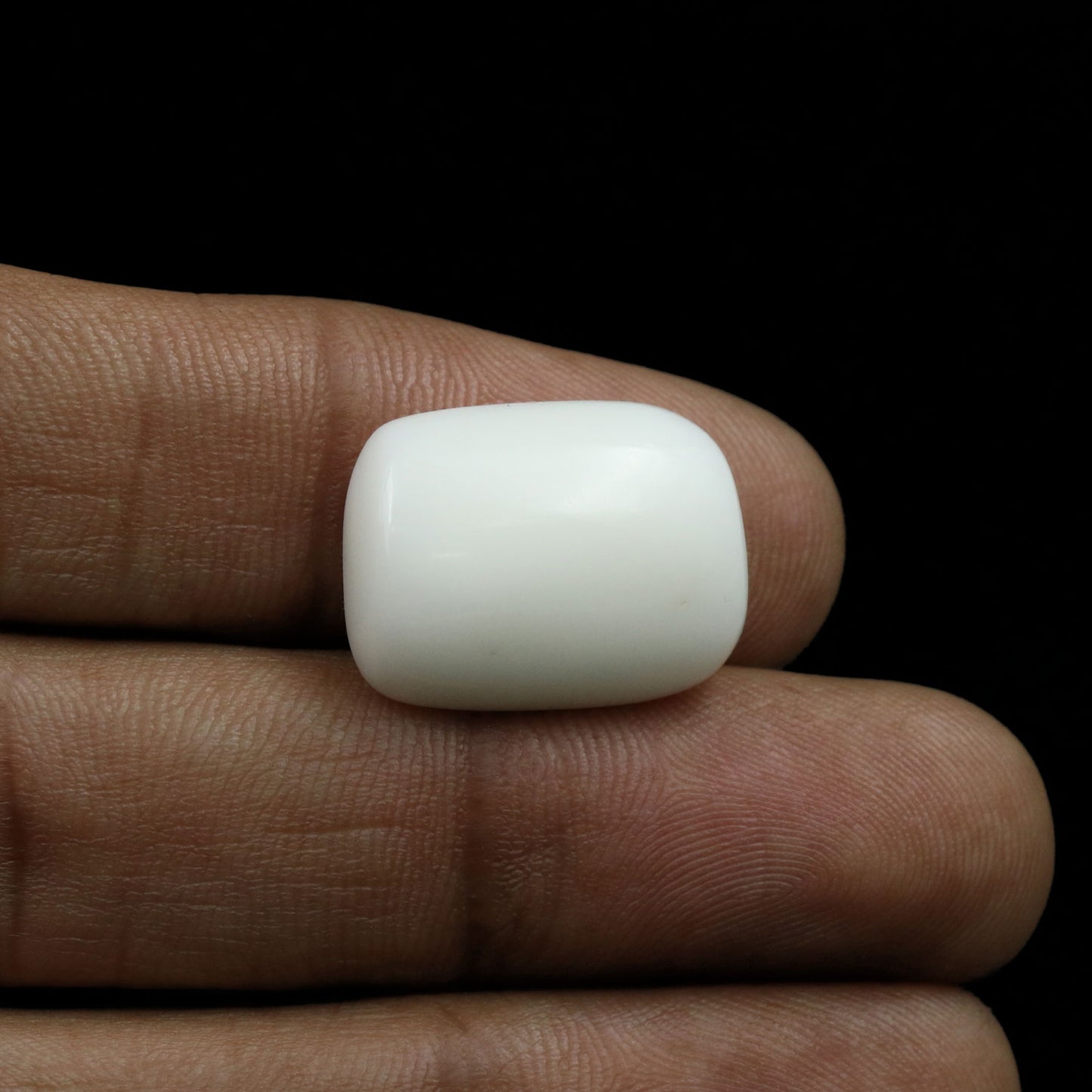 Japani White Coral 16.82 Carat