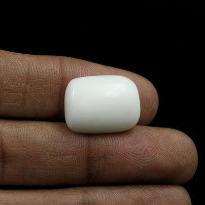 Japani White Coral 16.82 Carat
