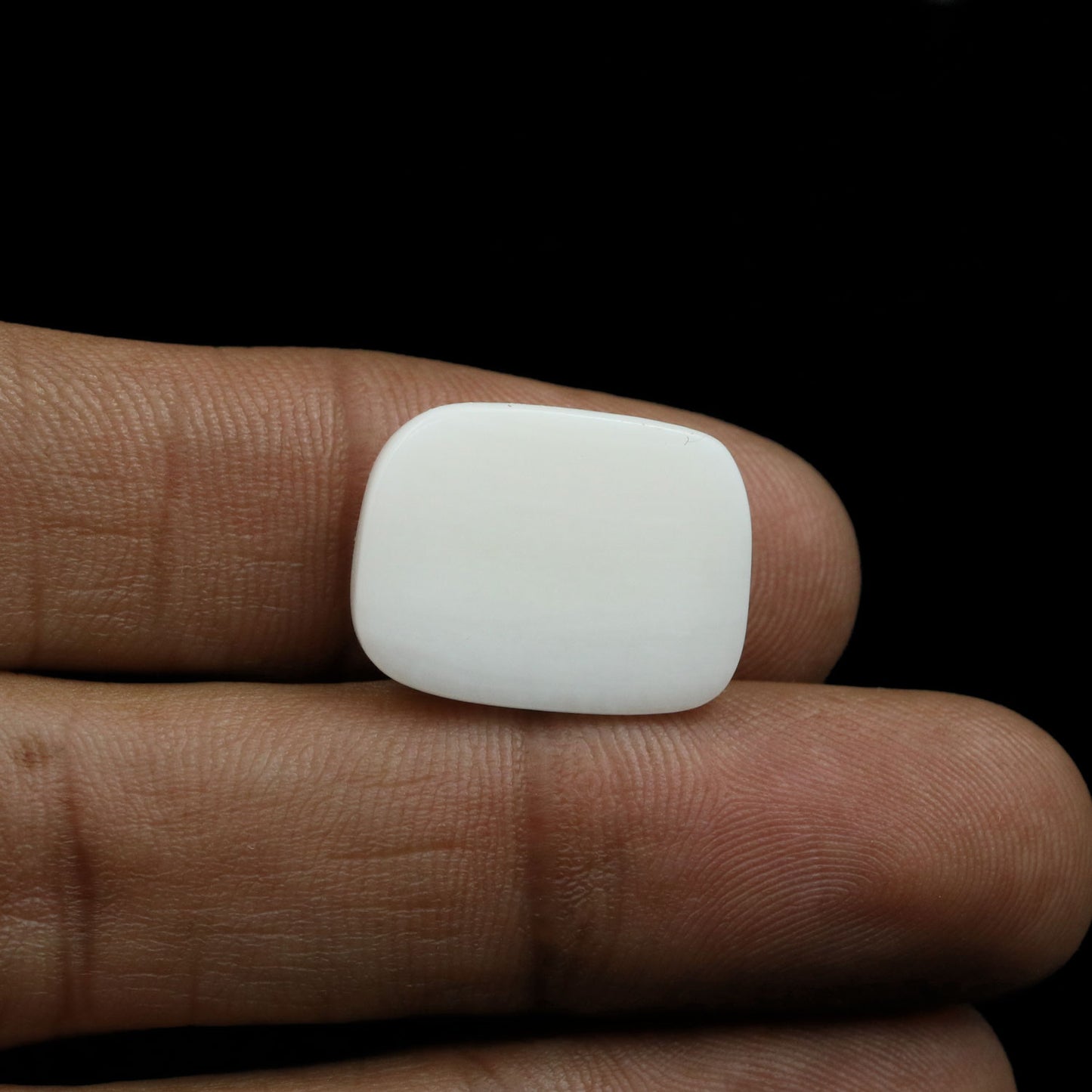 Japani White Coral 16.82 Carat