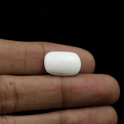 Japani White Coral 8.87 Carat