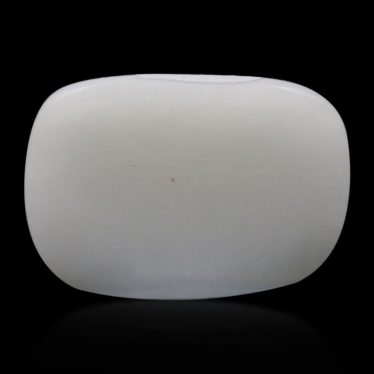 Japani White Coral 9.76 Carat