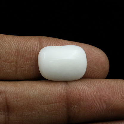 Japani White Coral 9.76 Carat