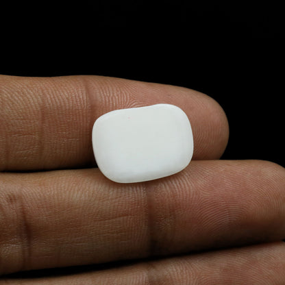 Japani White Coral 9.76 Carat