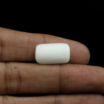 Japani White Coral 10.75 Carat