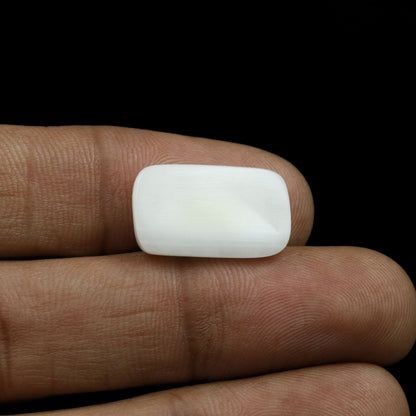Japani White Coral 10.75 Carat