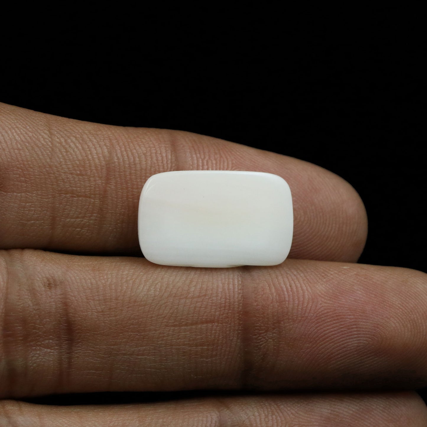 Japani White Coral 10.83 Carat