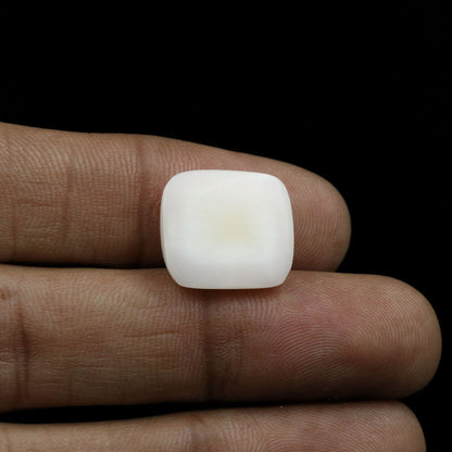 Japani White Coral 12.98 Carat