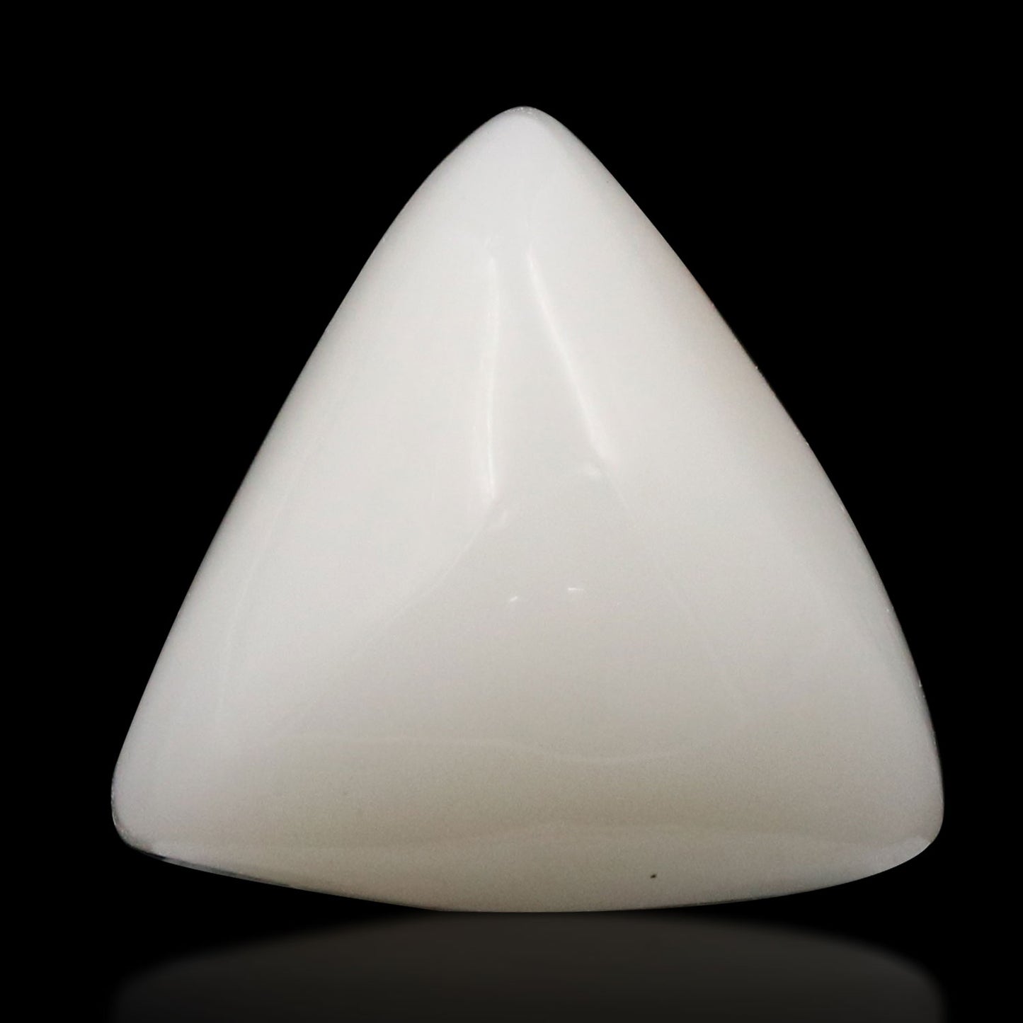 Japani White Coral 9.32 Carat