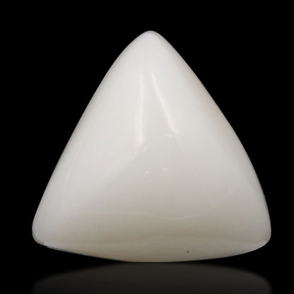 Japani White Coral 9.32 Carat