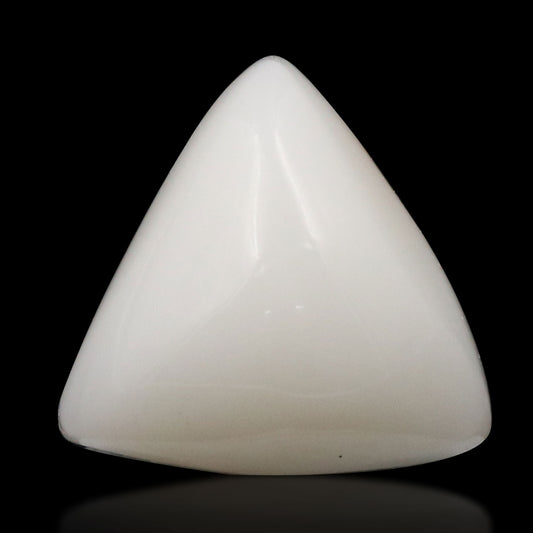 Japani White Coral 9.32 Carat