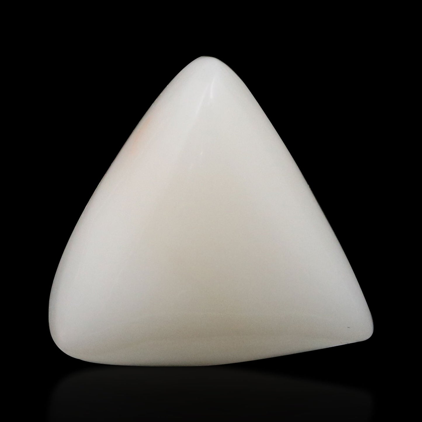 Japani White Coral 9.32 Carat