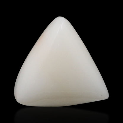 Japani White Coral 9.32 Carat