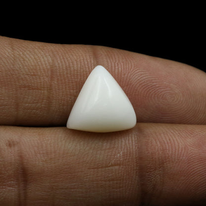 Japani White Coral 9.32 Carat