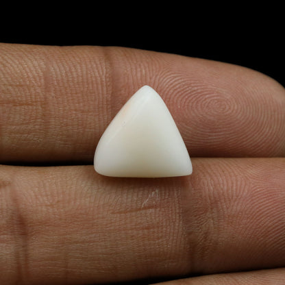 Japani White Coral 9.32 Carat