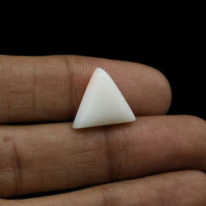 Japani White Coral 8.91 Carat