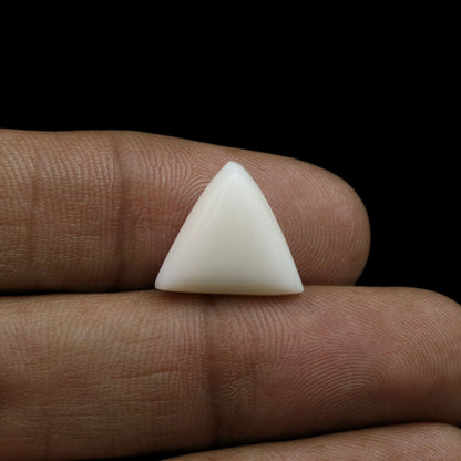 Japani White Coral 7.78 Carat
