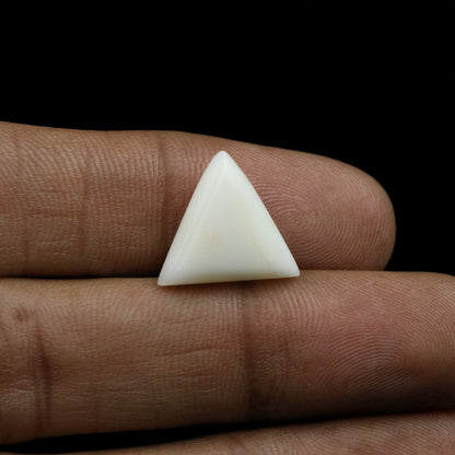 Japani White Coral 9.18 Carat
