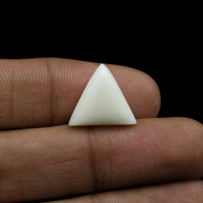 Japani White Coral 9.18 Carat