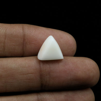 Japani White Coral 8.09 Carat