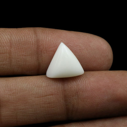 Japani White Coral 8.09 Carat