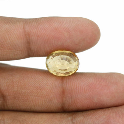 Hessonite (Gomed) - 13.31 Carat
