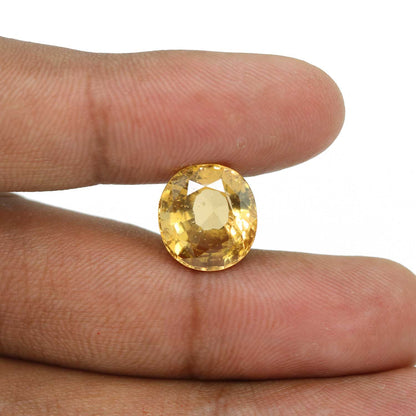 Hessonite (Gomed) - 13 Carat