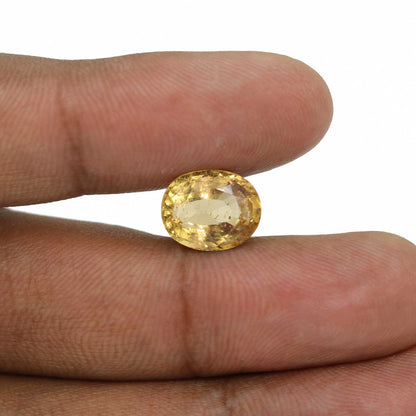 Hessonite (Gomed) - 7.32 Carat