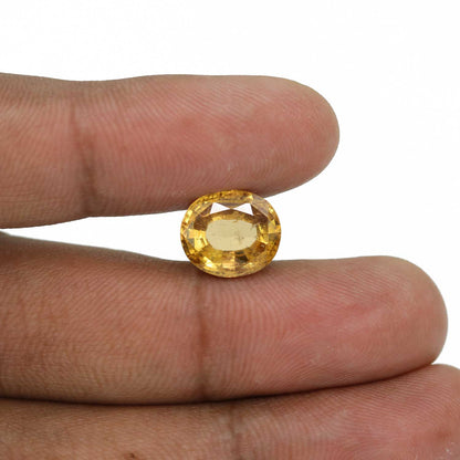 Hessonite (Gomed) - 8.77 Carat