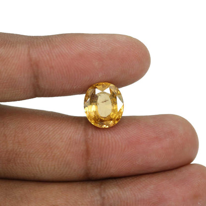 Hessonite (Gomed) - 8.77 Carat