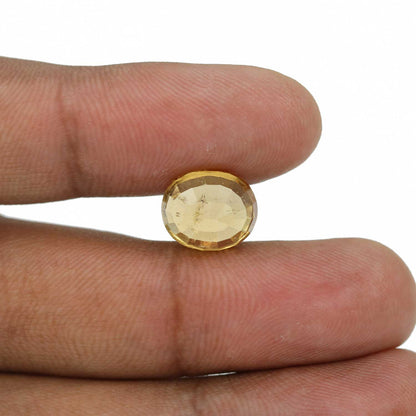 Hessonite (Gomed) - 8.77 Carat