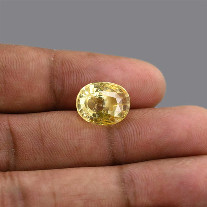 Ceylon Yellow Sapphire 10.99 Carat