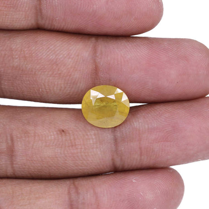 Yellow Sapphire - 7.16 Carat