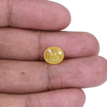 Yellow Sapphire - 4.06 Carat