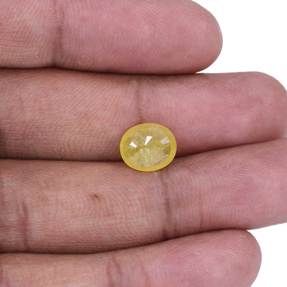 Yellow Sapphire - 4.04 Carat