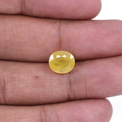 Yellow Sapphire - 5.49 Carat