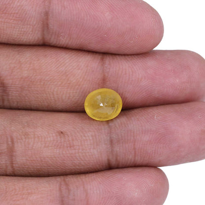Yellow Sapphire - 5.48 Carat